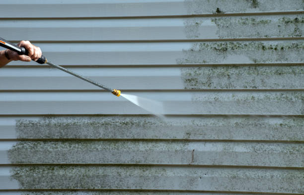 Best Affordable Power Washing  in Union Park, FL