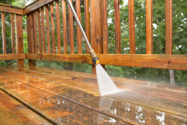 Best Best Pressure Washing Companies  in Union Park, FL